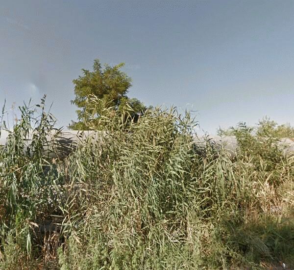 Банкомат Сбербанка России по адресу ул. Пескова,  д. 17в