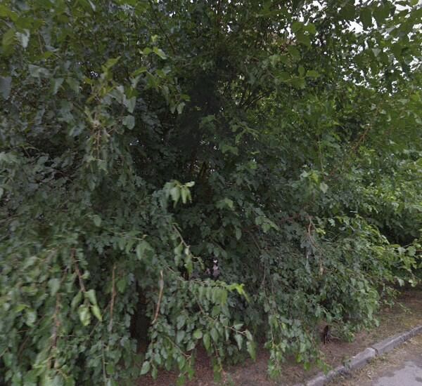 Отделение Почта Банка по адресу ул. Саратовская,  д. 5/10